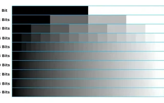 Controlled LED display grayscale and color gradient comparison
